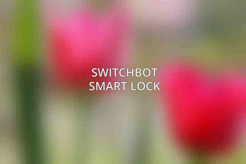 SwitchBot Smart Lock