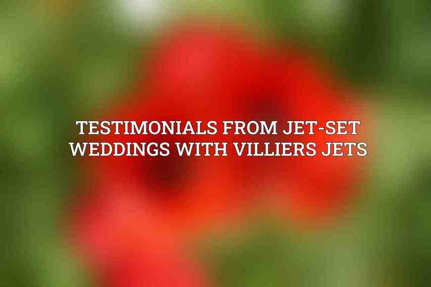Testimonials from Jet-Set Weddings with Villiers Jets