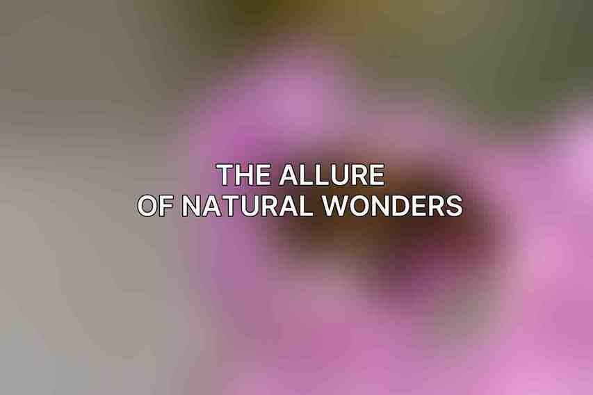 The Allure of Natural Wonders