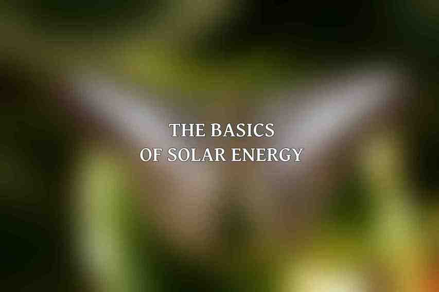 The Basics of Solar Energy