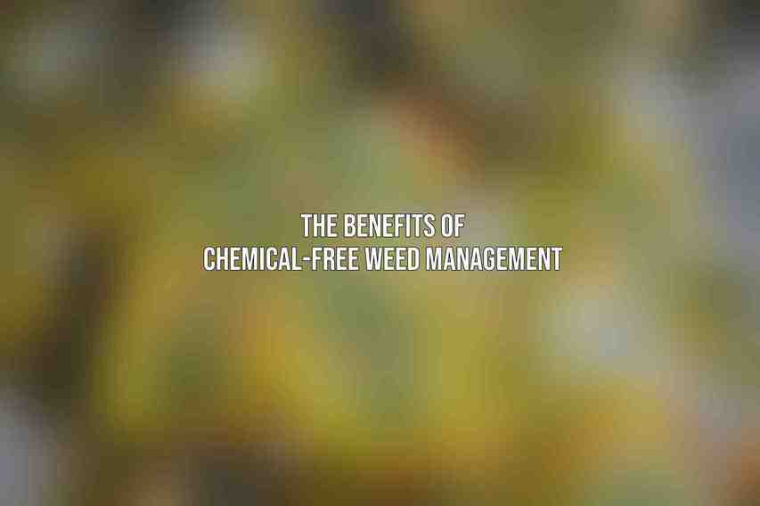 The Benefits of Chemical-Free Weed Management