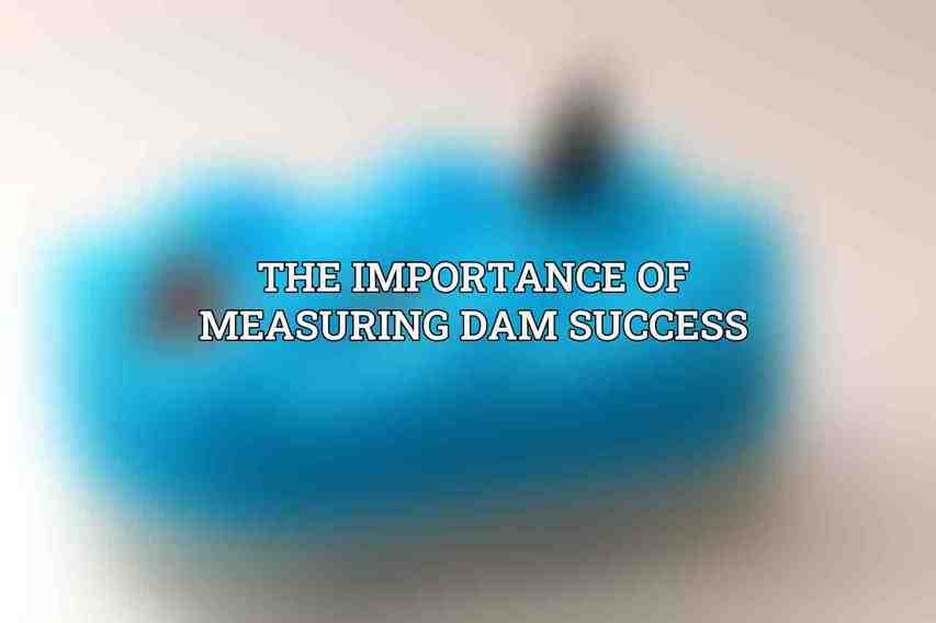 The Importance of Measuring DAM Success