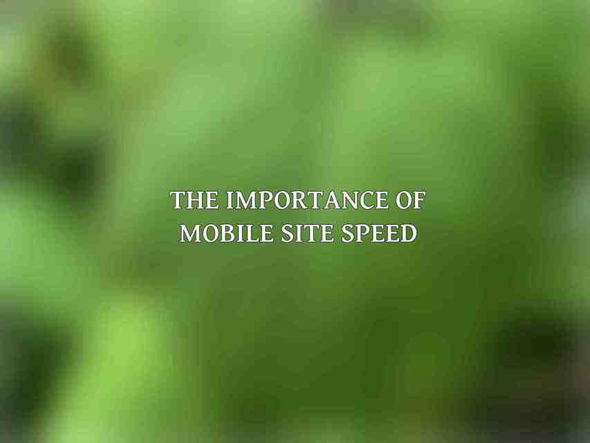 The Importance of Mobile Site Speed