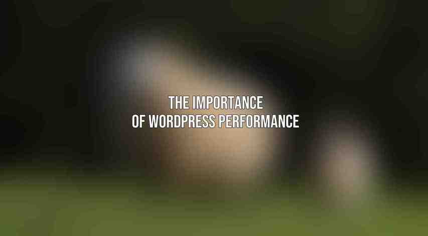 The Importance of WordPress Performance