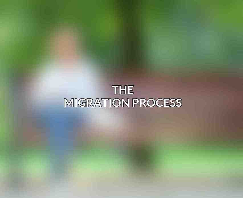 The Migration Process