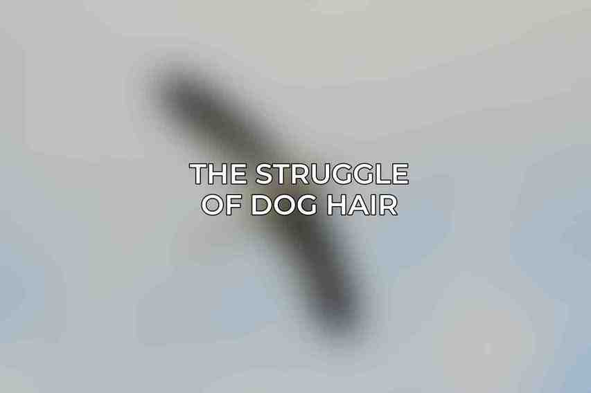 The Struggle of Dog Hair
