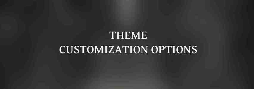 Theme Customization Options