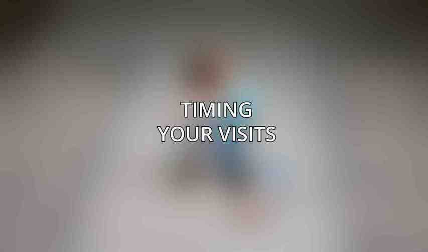 Timing Your Visits