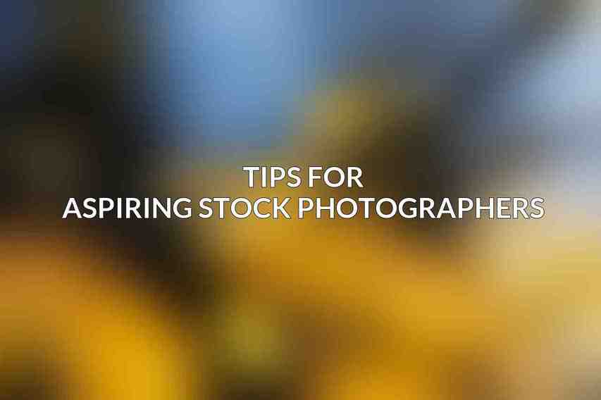 Tips for Aspiring Stock Photographers