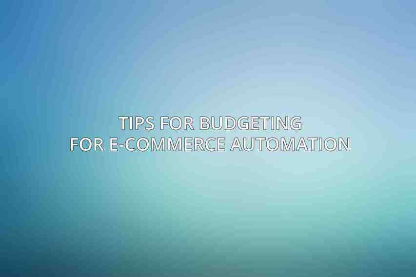 Tips for Budgeting for E-commerce Automation