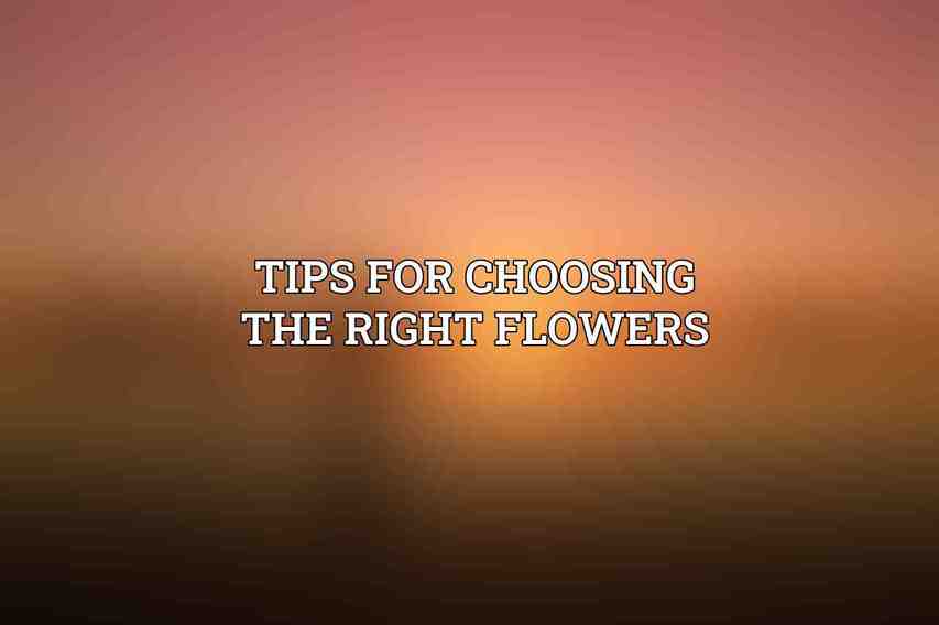 Tips for Choosing the Right Flowers