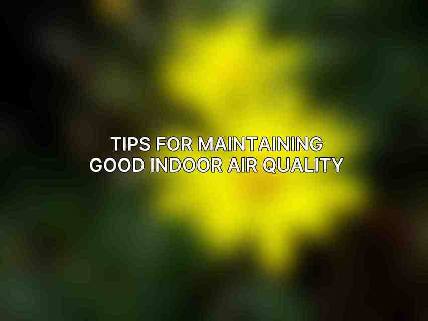 Tips for Maintaining Good Indoor Air Quality