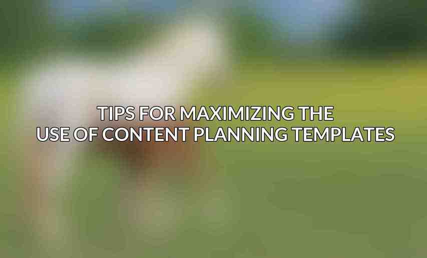 Tips for Maximizing the Use of Content Planning Templates