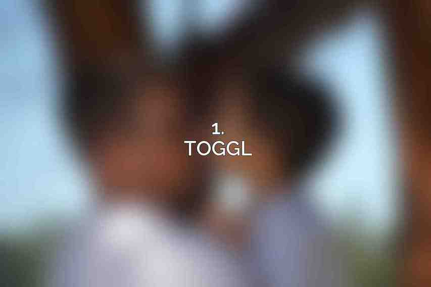 1. Toggl
