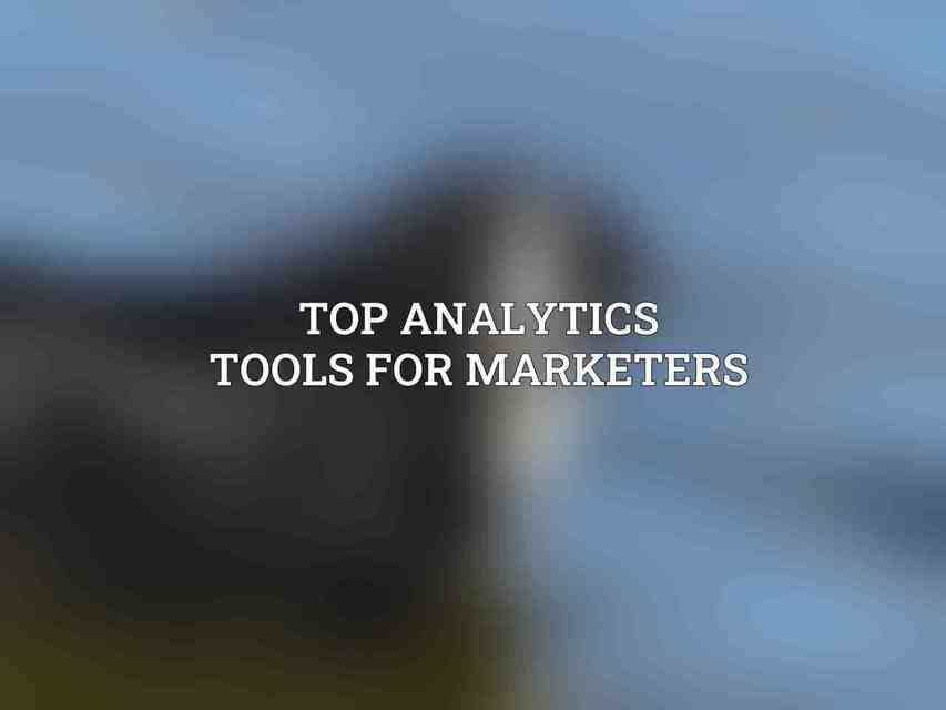 Top Analytics Tools for Marketers