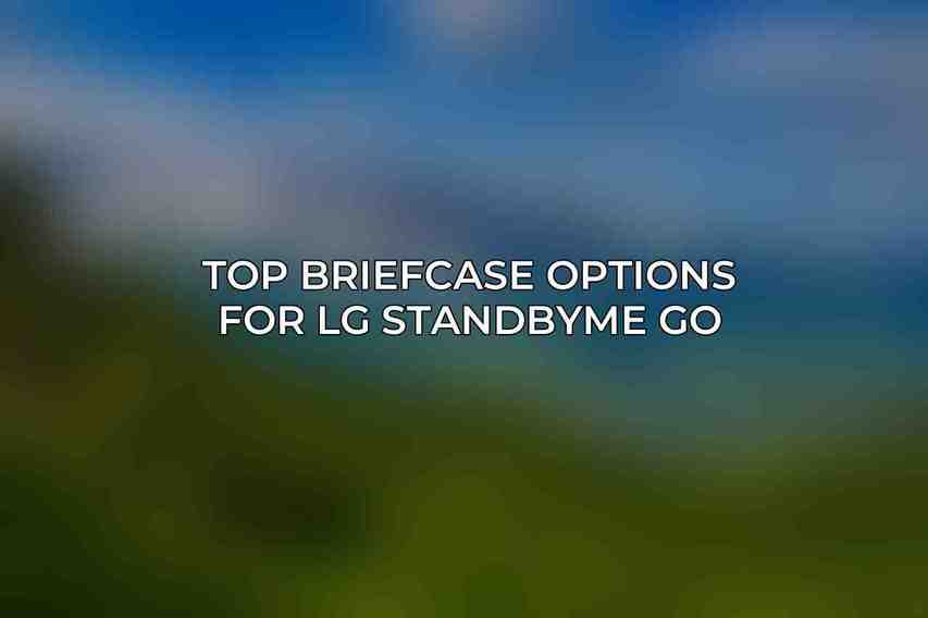 Top Briefcase Options for LG StandbyME Go