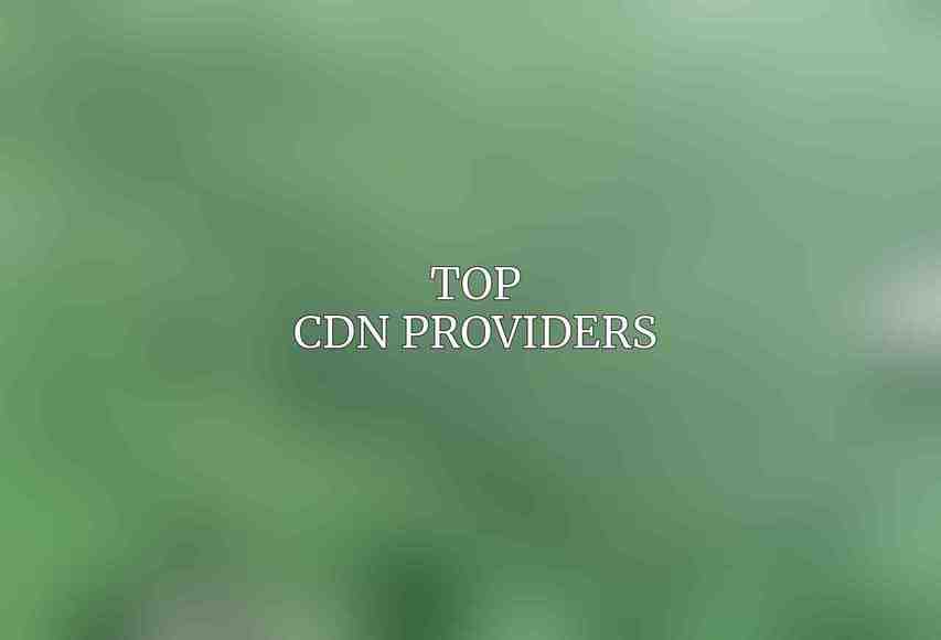 Top CDN Providers