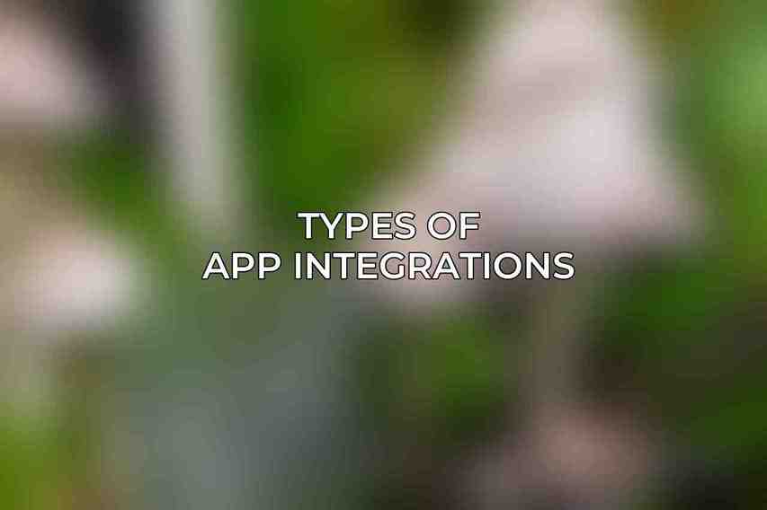 Types of App Integrations