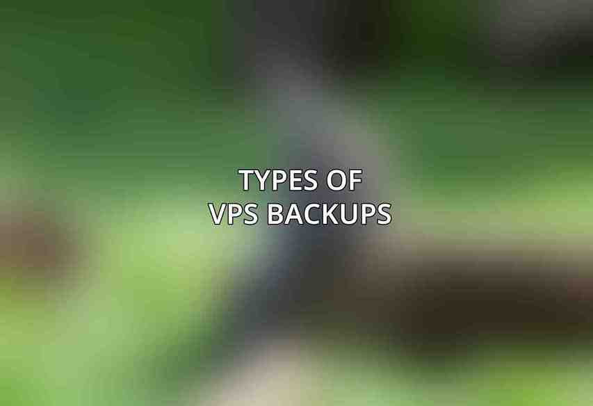 Types of VPS Backups