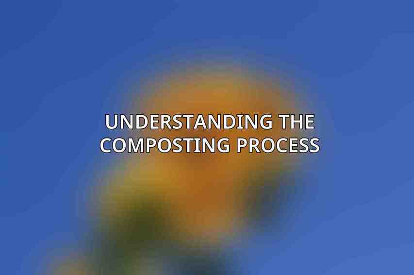 Understanding the Composting Process