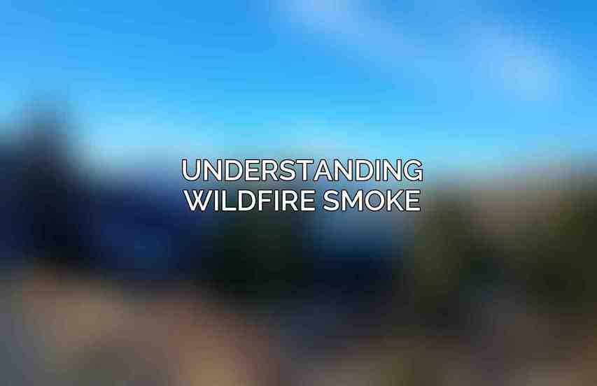 Understanding Wildfire Smoke