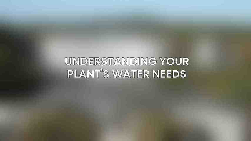 Understanding Your Plant's Water Needs