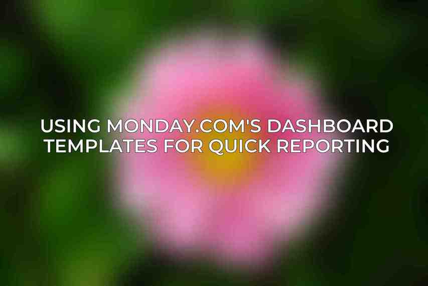 Using Monday.com's Dashboard Templates for Quick Reporting