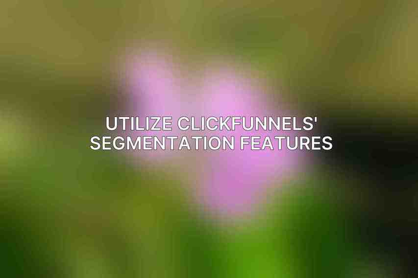 Utilize ClickFunnels' segmentation features: