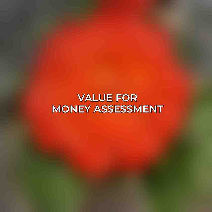 Value for Money Assessment
