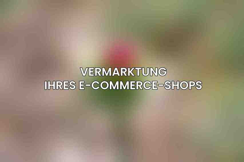 Vermarktung Ihres E-Commerce-Shops