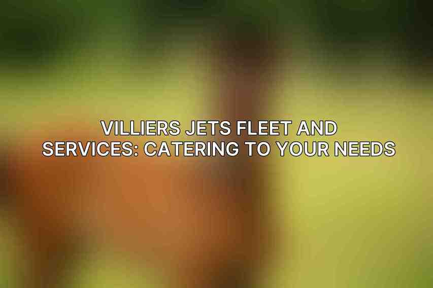 Villiers Jets Fleet and Services: Catering to Your Needs