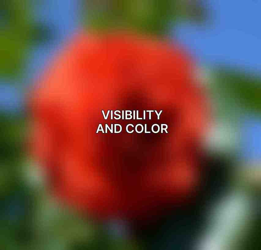 Visibility and Color