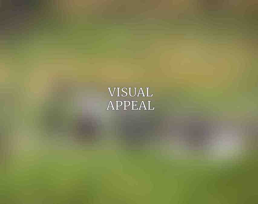 Visual Appeal