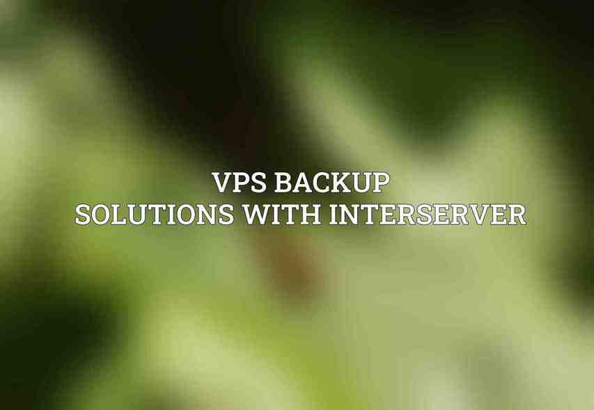 VPS Backup Solutions with Interserver