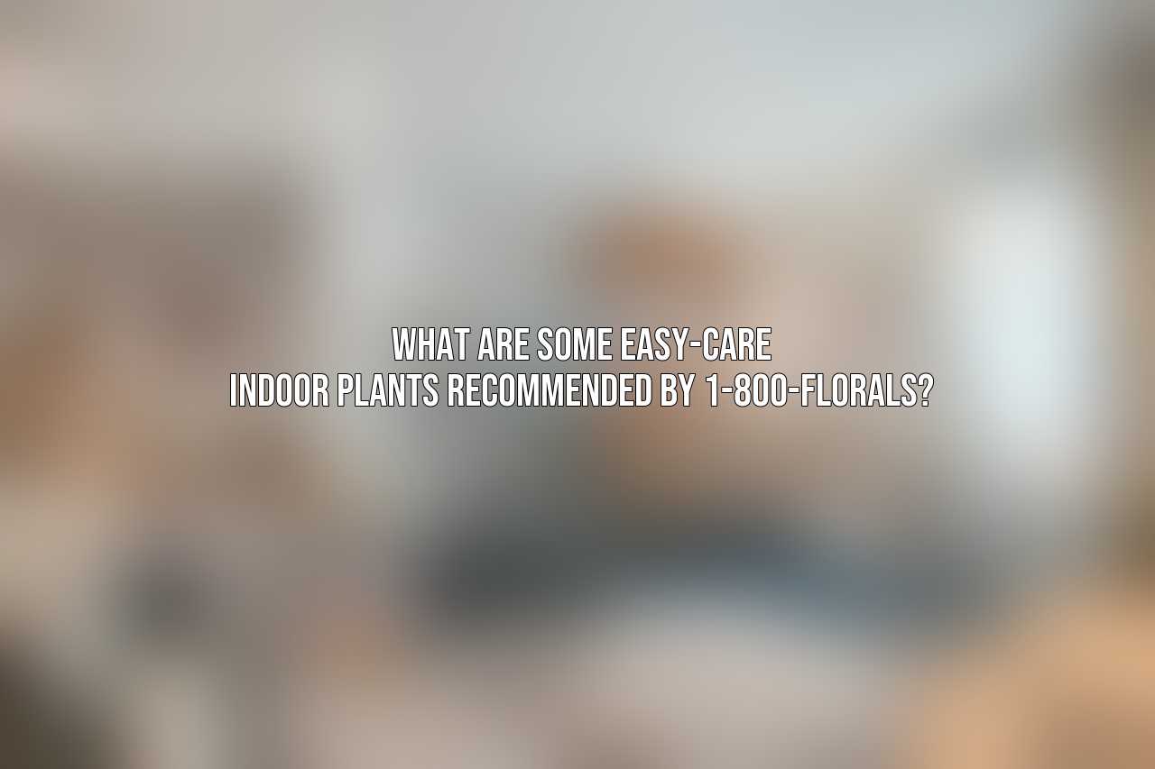 What are some easy-care indoor plants recommended by 1-800-FLORALS?