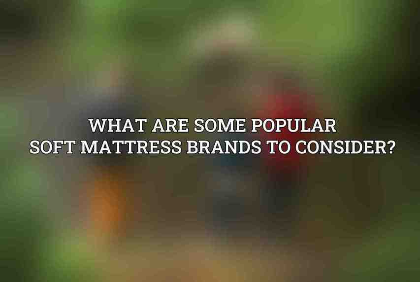 What are some popular soft mattress brands to consider?