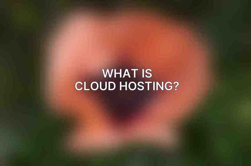 What is cloud hosting?