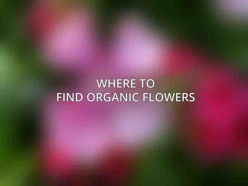 Where to Find Organic Flowers