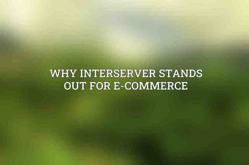 Why Interserver Stands Out for E-commerce