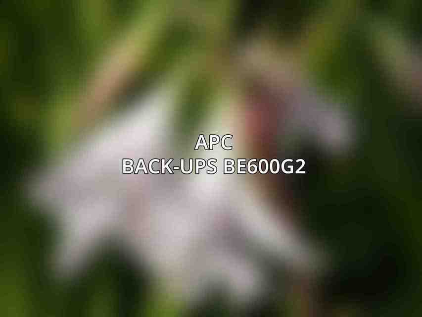 APC Back-UPS BE600G2