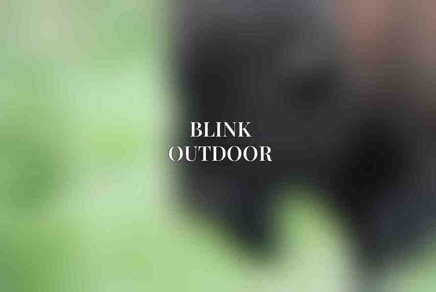 Blink Outdoor