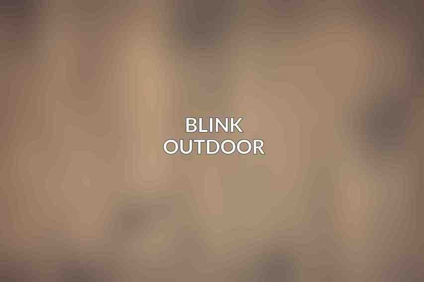 Blink Outdoor