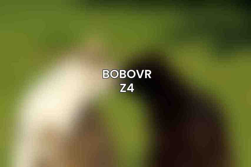 BoboVR Z4