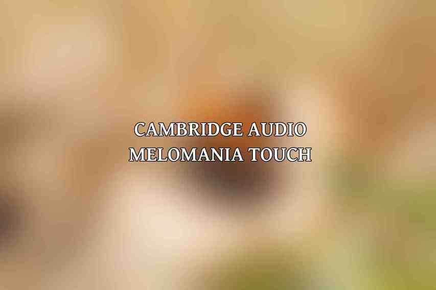 Cambridge Audio Melomania Touch