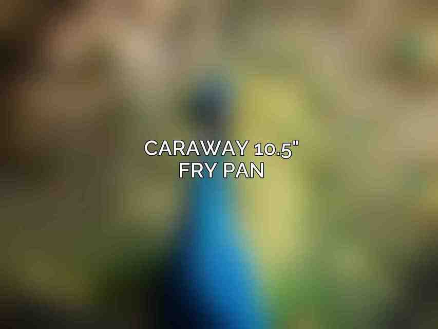 Caraway 10.5
