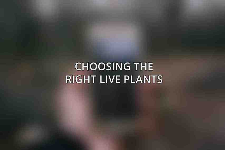 Choosing the Right Live Plants