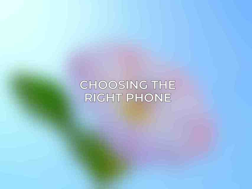Choosing the Right Phone