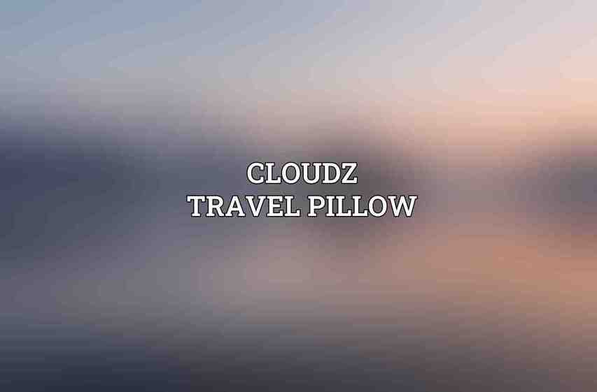 Cloudz Travel Pillow