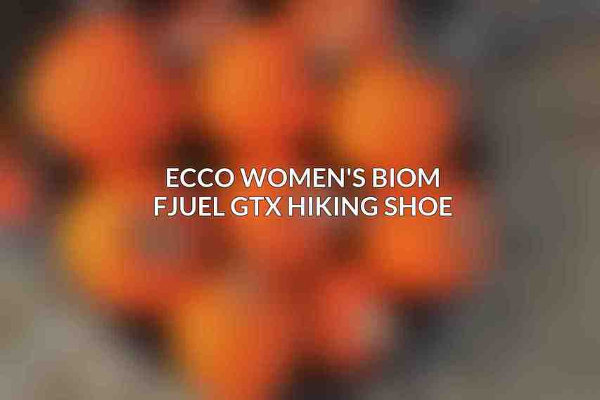 Ecco Women's Biom Fjuel GTX Hiking Shoe