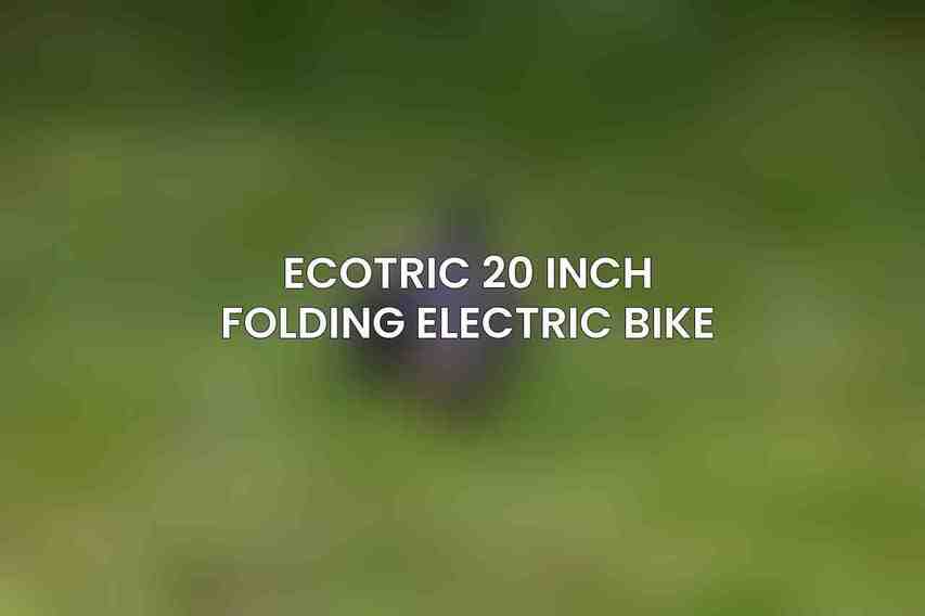 Ecotric 20 Inch Folding Electric Bike